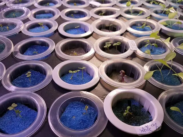 smart hydroponics systems
