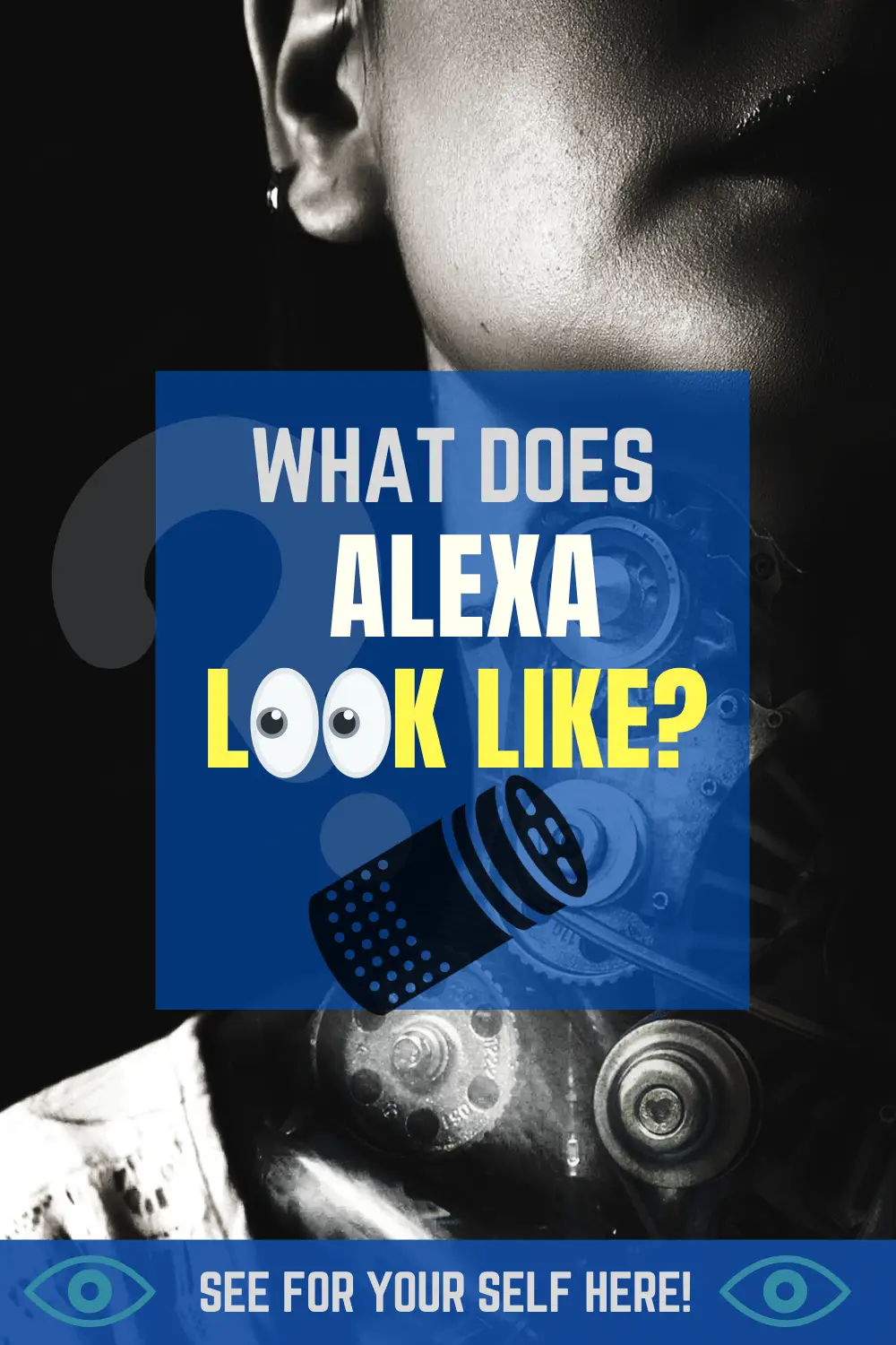 what-does-alexa-look-like-8204583