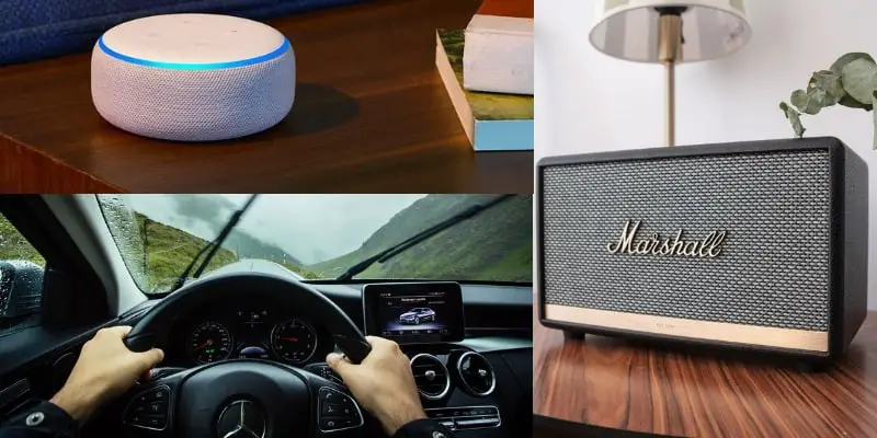 echo auto vs echo input vs echo dot