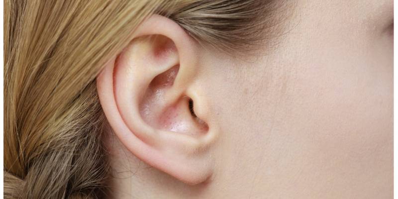 Increase Microphone Sensitivity Echo
