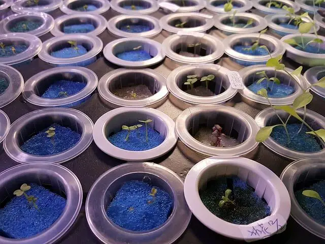 smart-hydroponics-systems-growing-2019-2009756