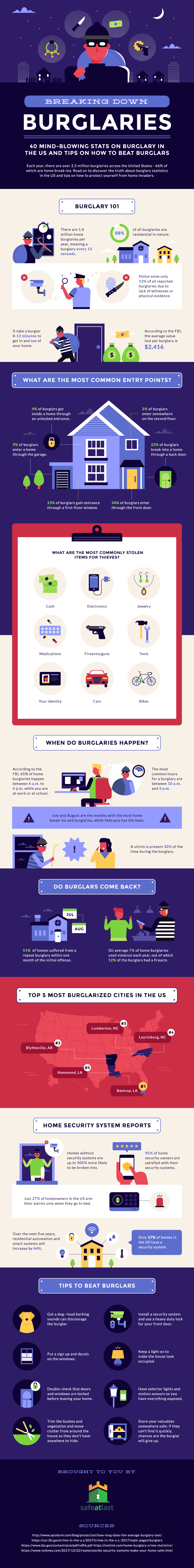 Burglary Statistics Infographic