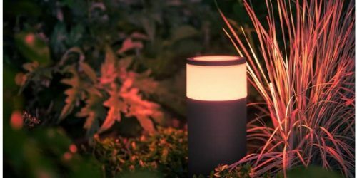 best smart outdoor lights