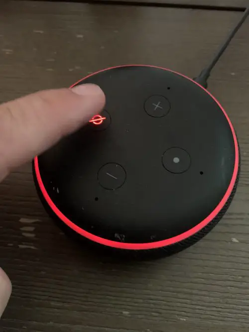 why is echo dot red