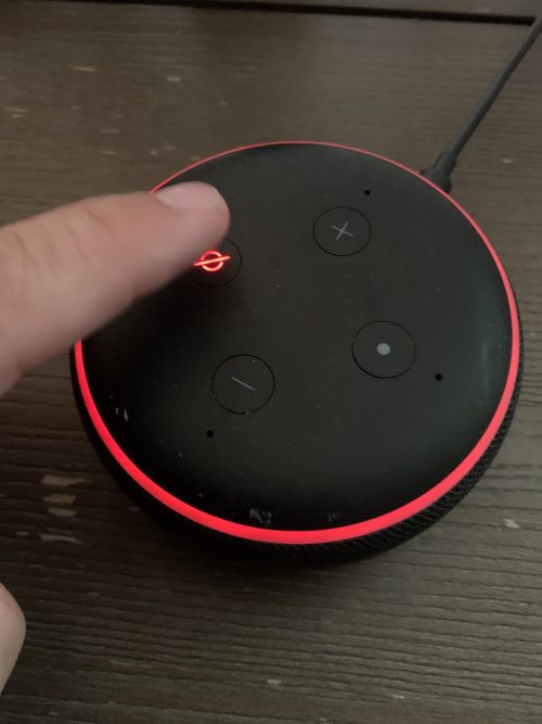 why is echo dot red