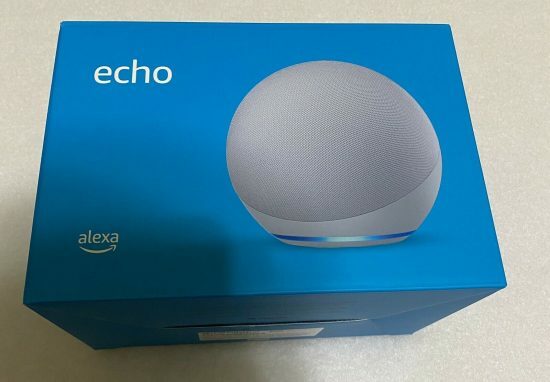 echo dot box