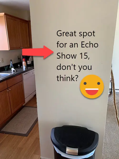echo show 15 vs 10