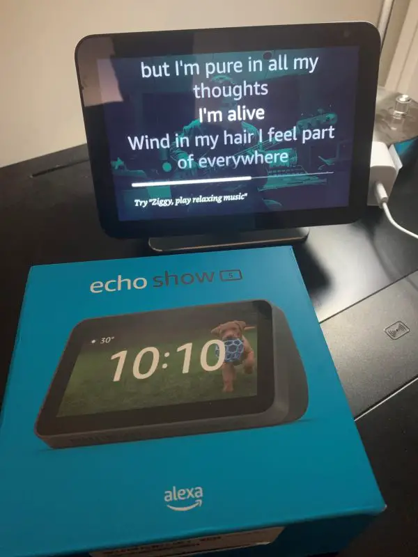 echo show 8 and 5
