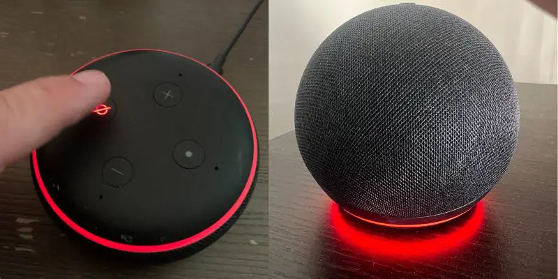 Why is Echo Dot red