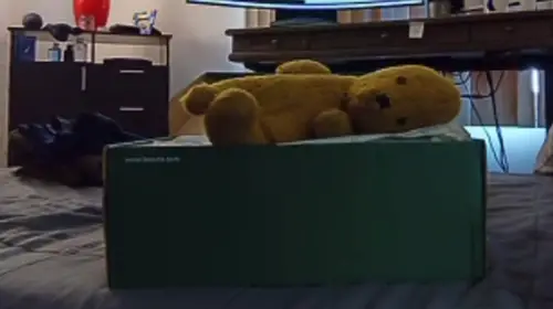 winnie my baby