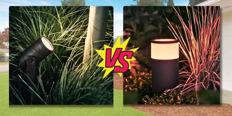 philips hue calla vs lily